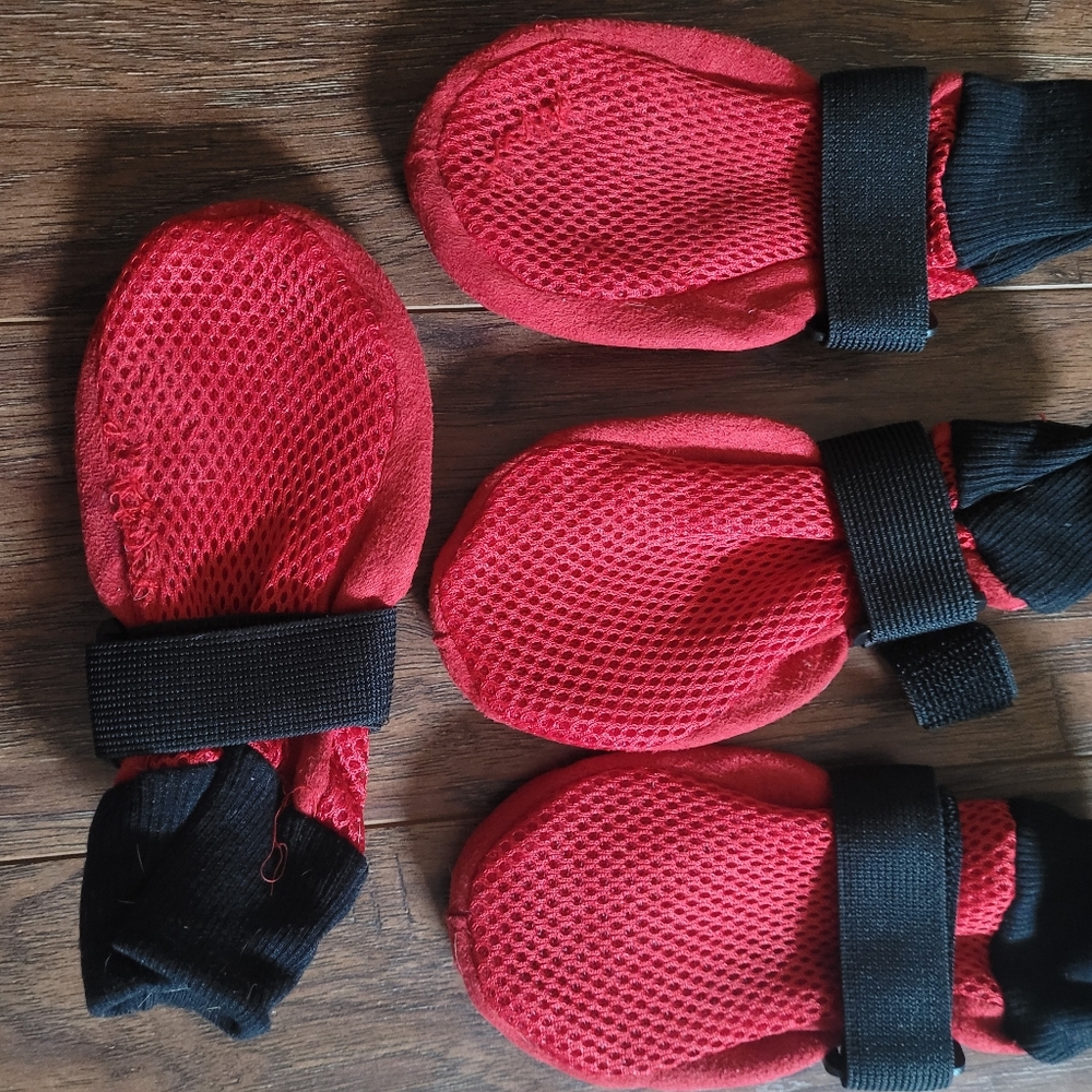 Dog booties - Picture 3 of 5